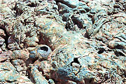 Picture 'Eq1_05_04 Lava, Galapagos, Bartolome'